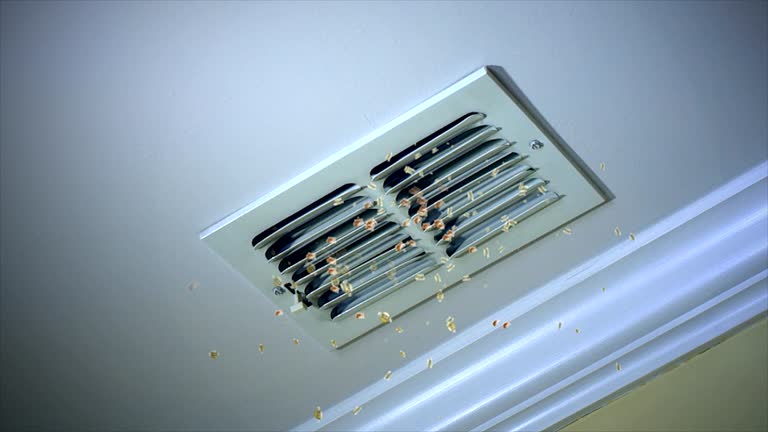 Best Affordable Duct Cleaning Services  in Rexland Acres, CA